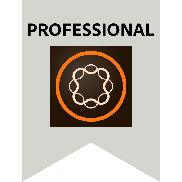 Adobe Professional AEM badge